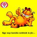 Mintaboltunk szeptember 19-én hétfőn zárva tart!